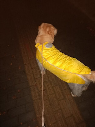 狗狗雨衣
