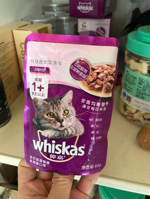 猫罐头