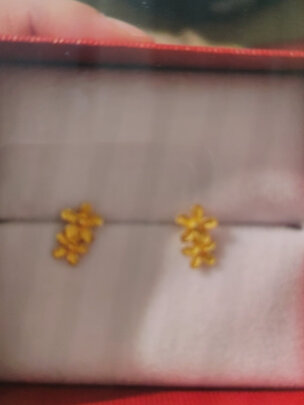 黄金耳钉