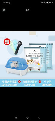 仓鼠浴沙