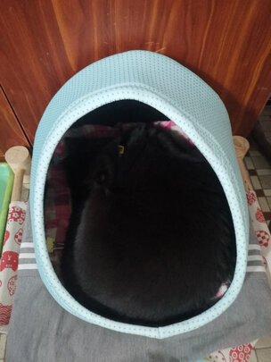 猫窝