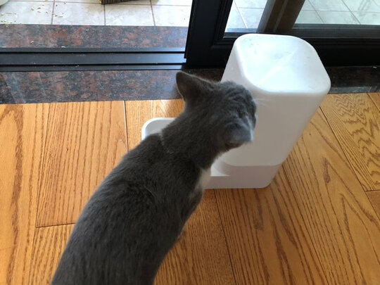 宠物自动喂食器