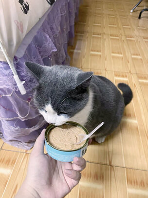 猫粮罐头