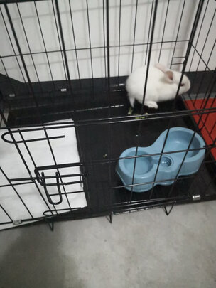 狗笼