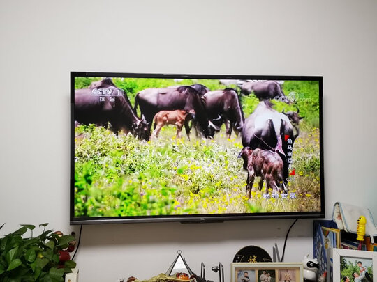 TCL55V6|TCL55V6真实使用感受？真相必看