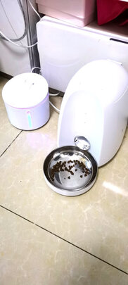 宠物饮水机