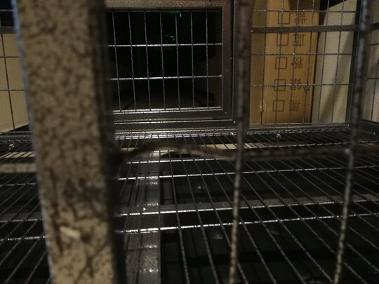 狗笼