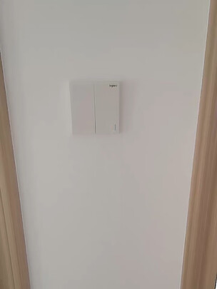 %title插图%num 罗格朗 LEGRAND 开关插座面板 仕典/逸景玉兰白10A斜五孔墙壁电源插座套餐 单只装