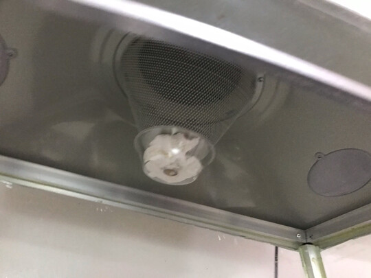 油烟机|海尔JS721油烟机怎么样上手一周说讲感受