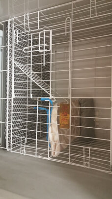  猫笼
