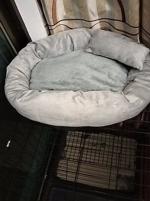  猫笼