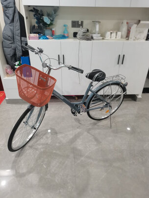 城市自行车