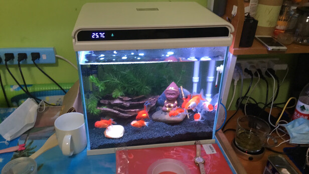 水草泥