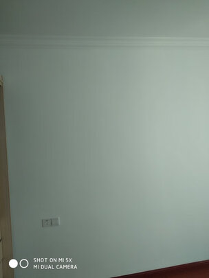 乳胶漆|多乐士A914-65663乳胶漆怎么样？内幕使用评测揭秘