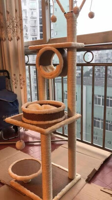 猫爬架
