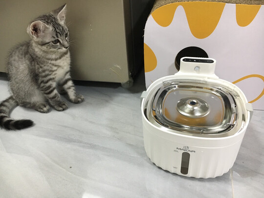 宠物饮水机