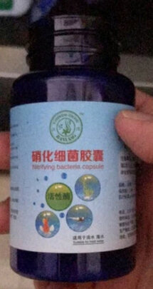 鱼缸硝化细菌