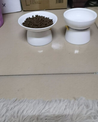 猫碗狗碗