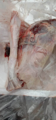 图片[4] - 东北特产新鲜梅花鹿腿肉11.1-12斤，你喜欢吗？ - 淘实惠