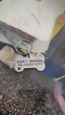 狗牌