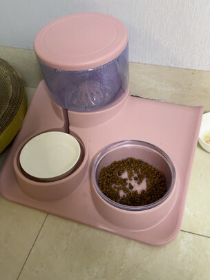 宠物自动喂食器