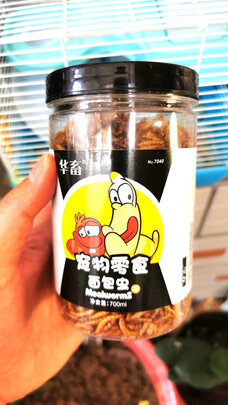 仓鼠粮食