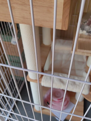 猫爬架