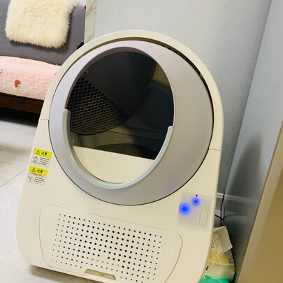 膨润土猫砂