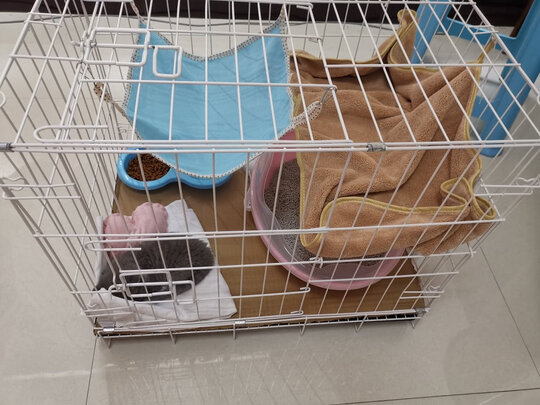  猫笼
