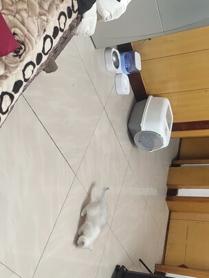 宠物饮水机