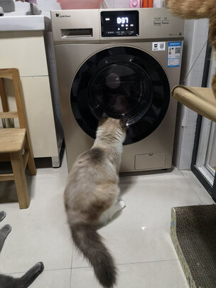 小天鹅TG100V20WDG滚筒洗衣机|独家剖析小天鹅TG100V20WDG洗衣机用后告诉大家实情真相？