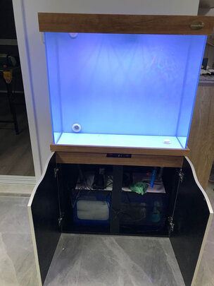 arowanahome鱼缸怎么样?讲一讲体验真相感受?