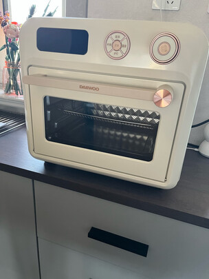 电烤箱