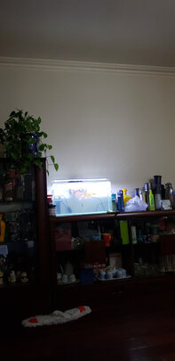 鱼缸灯led灯