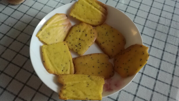 真相揭秘杜邦32L蒸烤一体机怎么样?优劣分析