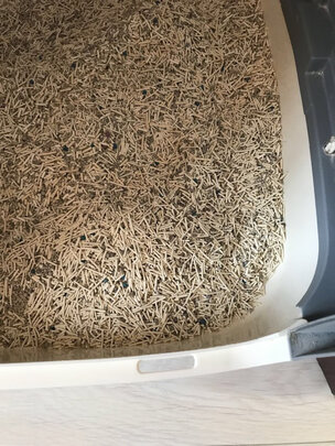 豆腐猫砂