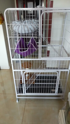 猫笼