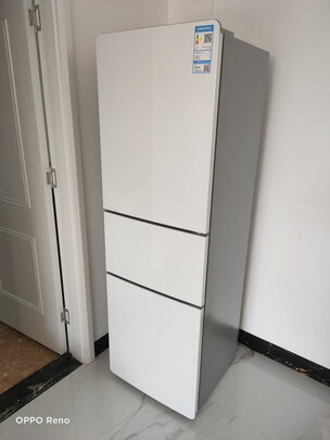 TCL冰箱R200L1-CZ|TCL冰箱R200L1-CZ独家揭秘评测真相,不看后悔!