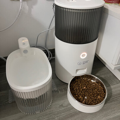 猫碗狗碗