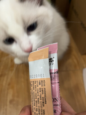 猫条猫零食