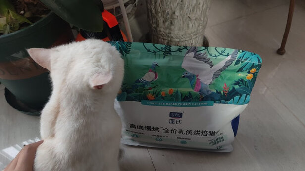 猫粮