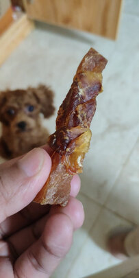 狗狗零食