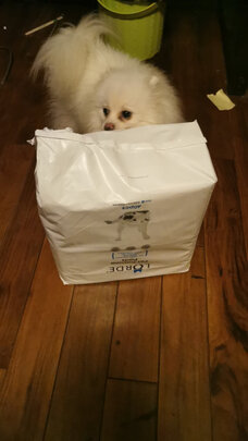 宠物尿垫