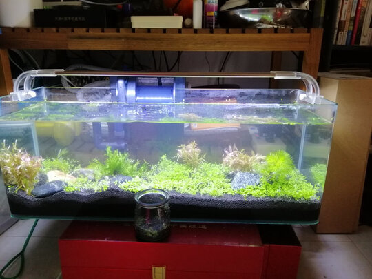 鱼缸灯led灯