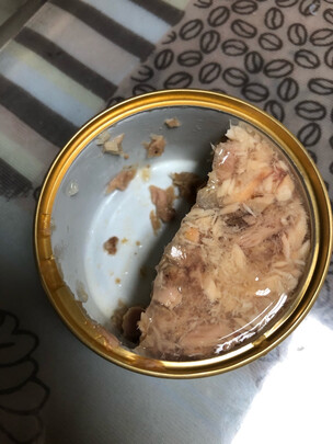 猫罐头