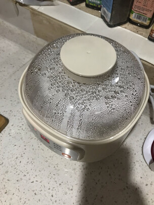 电炖锅