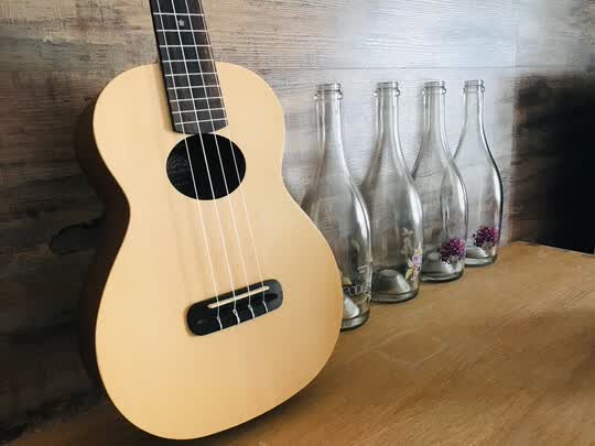 彩虹人尤克里里官网