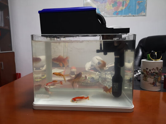 鱼缸潜水泵