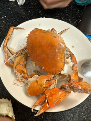 图片[3] - 青蟹海蟹红鲟：好吃还是不好吃？ - 淘实惠