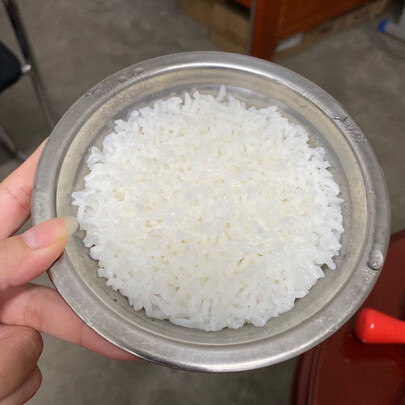 Midea DZ08Easy101到底靠谱吗,空间够不够大,松软可口吗?